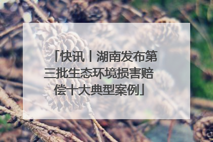 快讯丨湖南发布第三批生态环境损害赔偿十大典型案例