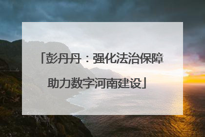 彭丹丹：强化法治保障 助力数字河南建设