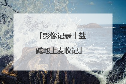 影像记录丨盐碱地上麦收记