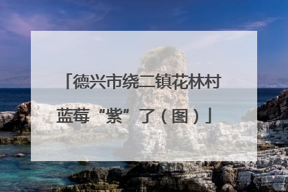 德兴市绕二镇花林村蓝莓“紫”了（图）