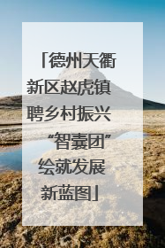 德州天衢新区赵虎镇聘乡村振兴“智囊团” 绘就发展新蓝图