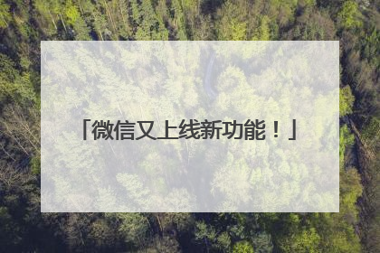 微信又上线新功能！