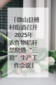 微山县傅村街道召开2025年农作物秸秆禁烧暨“三夏”生产工作会议
