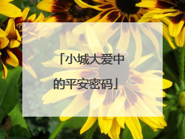 小城大爱中的平安密码