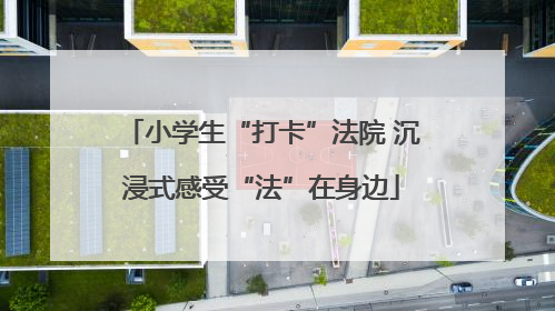 小学生“打卡”法院 沉浸式感受“法”在身边