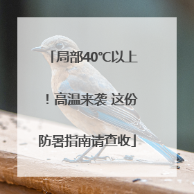 局部40℃以上！高温来袭 这份防暑指南请查收