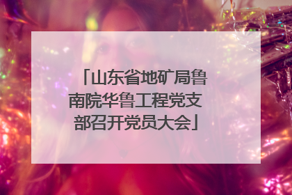 山东省地矿局鲁南院华鲁工程党支部召开党员大会