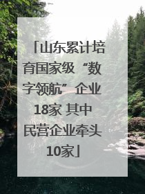 山东累计培育国家级“数字领航”企业18家 其中民营企业牵头10家