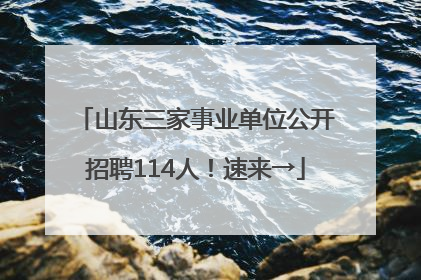 山东三家事业单位公开招聘114人！速来→