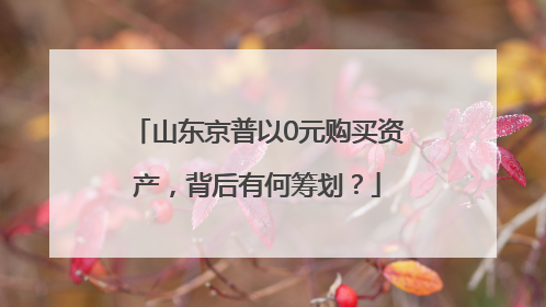 山东京普以0元购买资产，背后有何筹划？