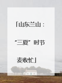 山东兰山：“三夏”时节麦收忙