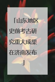 山东地区史前考古研究重大成果在济南发布