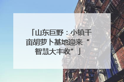 山东巨野：小镇千亩胡萝卜基地迎来“智慧大丰收”