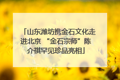 山东潍坊携金石文化走进北京 “金石宗师”陈介祺罕见珍品亮相