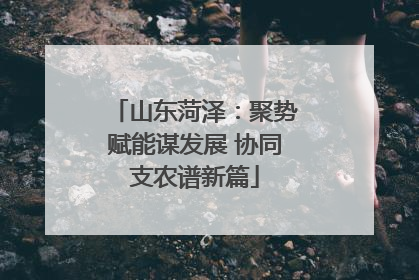 山东菏泽：聚势赋能谋发展 协同支农谱新篇