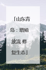 山东青岛：增殖放流 修复生态