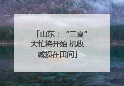 山东：“三夏”大忙将开始 机收减损在田间