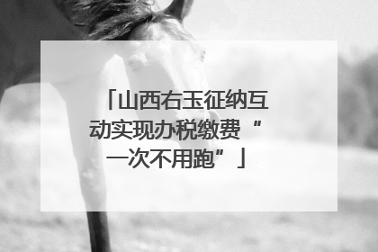 山西右玉征纳互动实现办税缴费“一次不用跑”