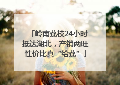 岭南荔枝24小时抵达湖北，产销两旺性价比真“给荔”
