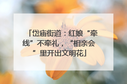 岱庙街道：红娘“牵线”不牵礼，“相亲会”里开出文明花