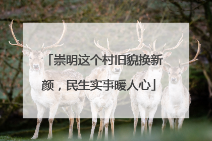 崇明这个村旧貌换新颜，民生实事暖人心