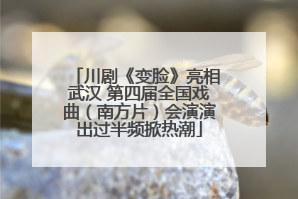 川剧《变脸》亮相武汉 第四届全国戏曲（南方片）会演演出过半频掀热潮