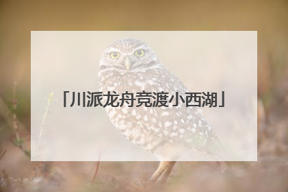 川派龙舟竞渡小西湖