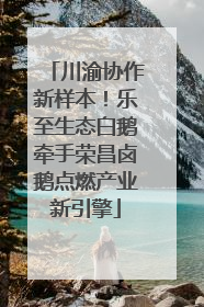 川渝协作新样本！乐至生态白鹅牵手荣昌卤鹅点燃产业新引擎