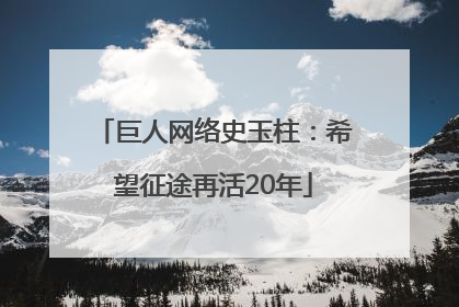 巨人网络史玉柱：希望征途再活20年