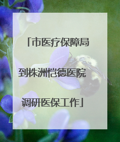 市医疗保障局到株洲恺德医院调研医保工作