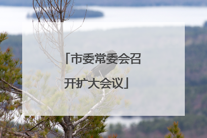 市委常委会召开扩大会议