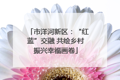 市洋河新区：“红蓝”交融 共绘乡村振兴幸福画卷