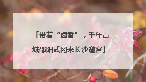 带着“卤香”，千年古城邵阳武冈来长沙邀客