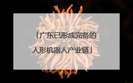 广东已形成完备的人形机器人产业链