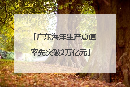 广东海洋生产总值率先突破2万亿元