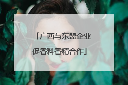 广西与东盟企业促香料香精合作
