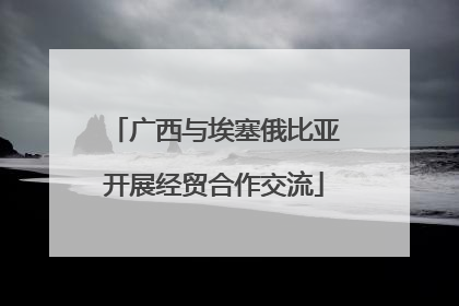 广西与埃塞俄比亚开展经贸合作交流