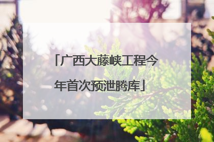 广西大藤峡工程今年首次预泄腾库