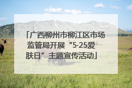 广西柳州市柳江区市场监管局开展“5·25爱肤日”主题宣传活动