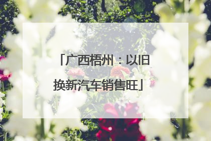 广西梧州：以旧换新汽车销售旺