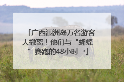 广西涠洲岛万名游客大撤离！他们与“蝴蝶”赛跑的48小时→