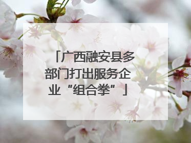 广西融安县多部门打出服务企业“组合拳”