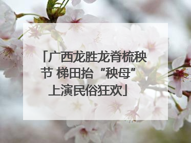 广西龙胜龙脊梳秧节 梯田抬“秧母”上演民俗狂欢