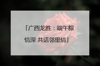 广西龙胜：端午粽情深 共话邻里情