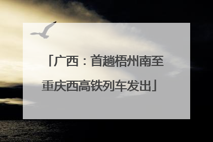 广西：首趟梧州南至重庆西高铁列车发出