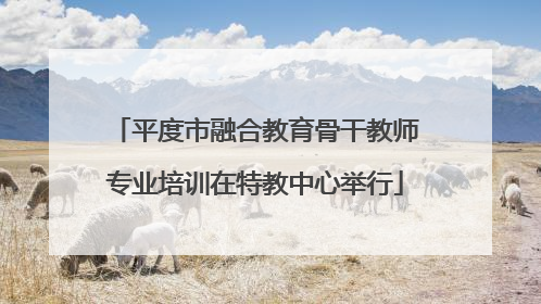 平度市融合教育骨干教师专业培训在特教中心举行