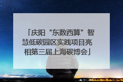 庆阳“东数西算”智慧低碳园区实践项目亮相第三届上海碳博会