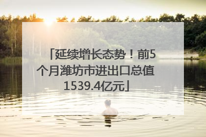 延续增长态势！前5个月潍坊市进出口总值1539.4亿元