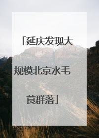 延庆发现大规模北京水毛茛群落