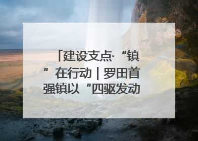 建设支点·“镇”在行动｜罗田首强镇以“四驱发动”践行首镇担当